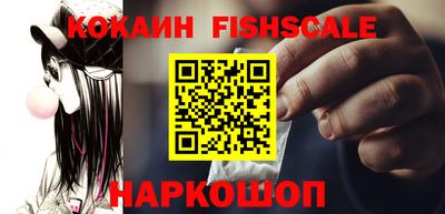 гашик Кингисепп