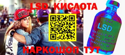 гашик Кингисепп