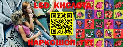 гашик Кингисепп