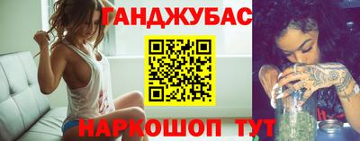 гашик Кингисепп