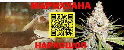 гашик Кингисепп