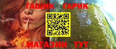 гашик Кингисепп