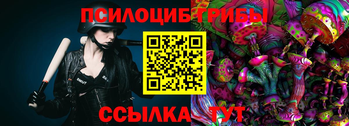 Галлюциногенные грибы MAGIC MUSHROOMS  Галлюциногенные грибы MAGIC MUSHROOMS  купить наркоту  Нефтекумск  Вход с VPN 