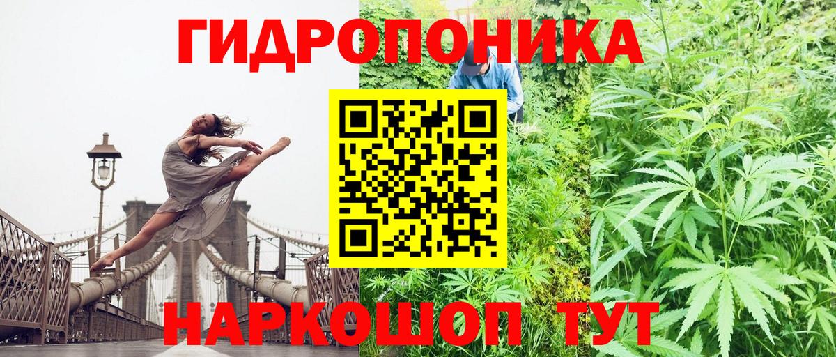 Конопля тримм  Бошки Шишки индика  Вход с VPN  Нефтекумск  Конопля AK-47 